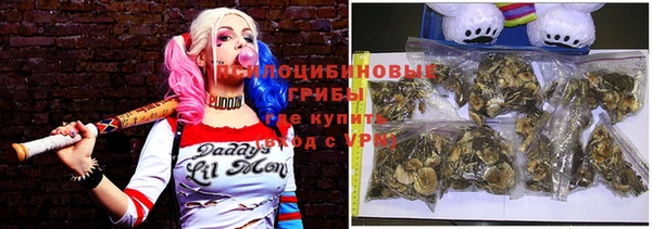 амф Зеленодольск