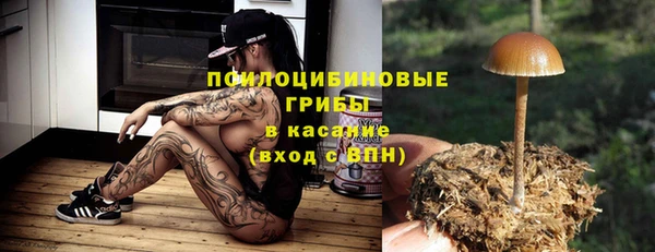 тгк Инсар