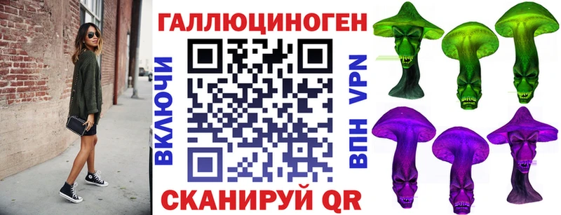 Галлюциногенные грибы Psilocybine cubensis  Купить где  Новокубанск 